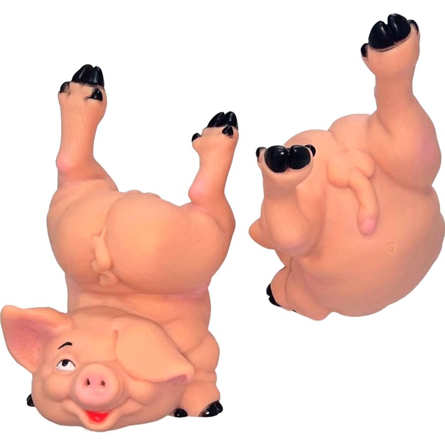 Cofrinho Divertido Porco Pelado
