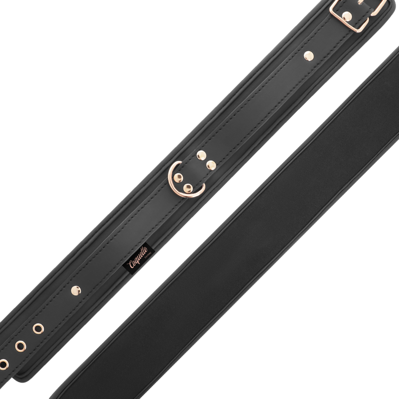 Colar COQUETTE CHIC DESIRE FANTASY de couro vegano com ala e forro de neoprene para jogos BDSM