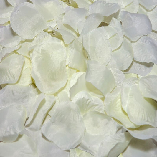 Pétalas Decorativas de Baunilha - 100 Unidades