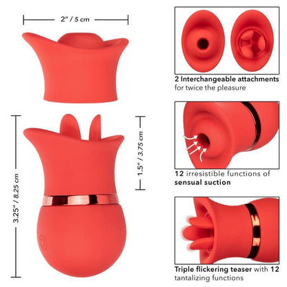 Conjunto Vibrador e Estimulador de Sucção - Beijo Francês
