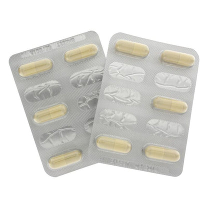 Embalagem de HOT Cápsulas para Libido Extreme Feminino, suplemento para aumento do desejo sexual.