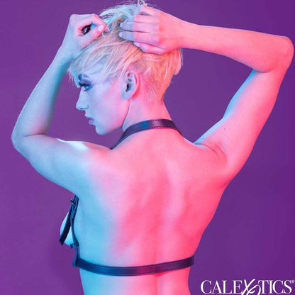 Arnês de Fivela Halter Preto