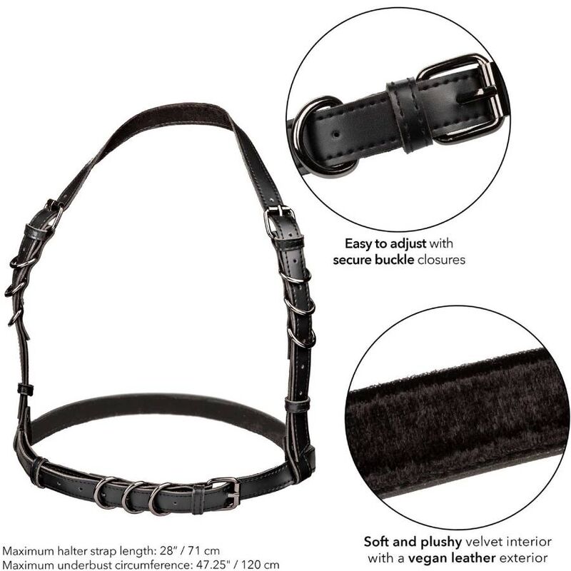 Arnês Halter com Fivela Plus Size Euphoria Preto