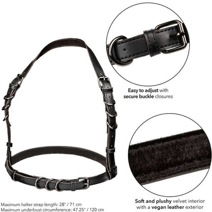 Arnês Halter com Fivela Plus Size Euphoria Preto