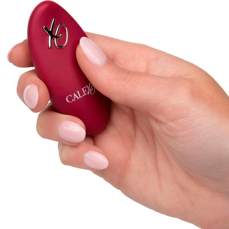 Massageador de Impulso e Vibração com Controle Remoto e Motores Duplos