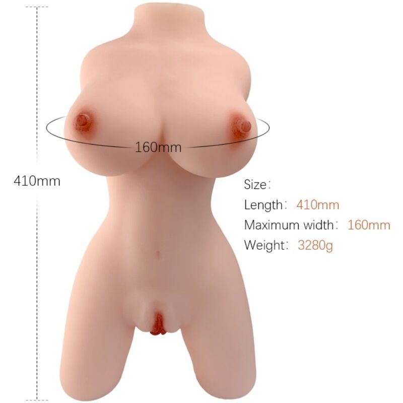 Torso feminino realista Armony TPE Modelo 4, exibindo detalhes anatômicos e textura da pele.