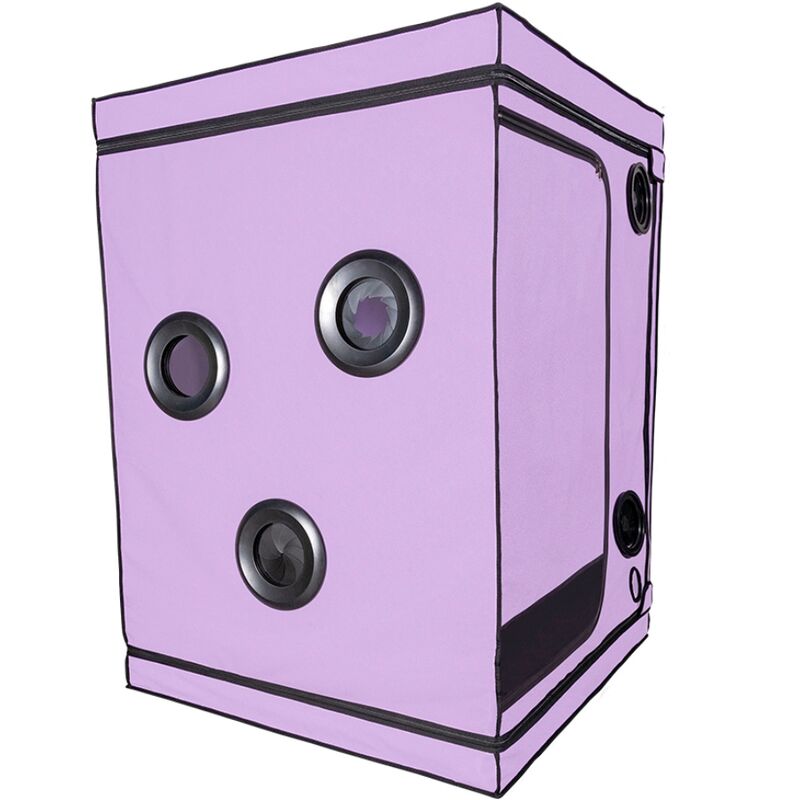 SECRET DOME Cabine BDSM Portátil Escândalo Roxo com iluminação LED e sistema de contenção