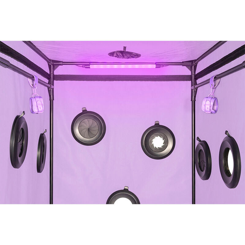 SECRET DOME Cabine BDSM Portátil Escândalo Roxo com iluminação LED e sistema de contenção