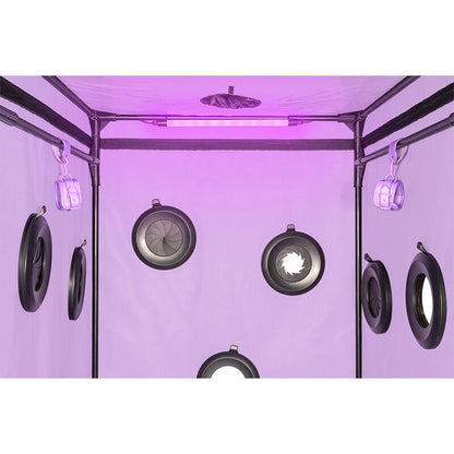 SECRET DOME Cabine BDSM Portátil Escândalo Roxo com iluminação LED e sistema de contenção