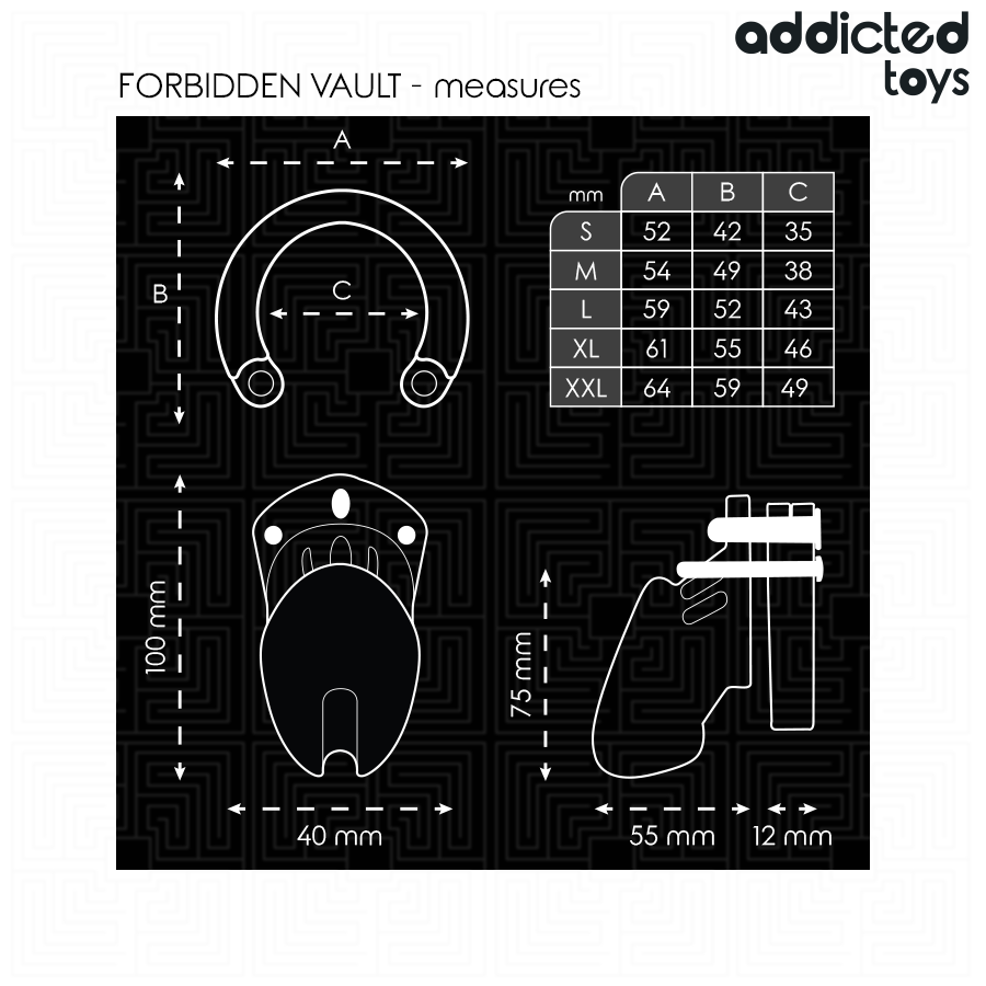 Gaiola para Pênis ADDICTED TOYS LOCKED Forbidden Vault 10 CM, exibindo seus detalhes e design seguro.