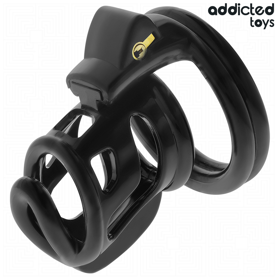Imagem da Gaiola de Castidade Metálica Addicted Toys Gilden 8.5cm com todos os seus componentes.