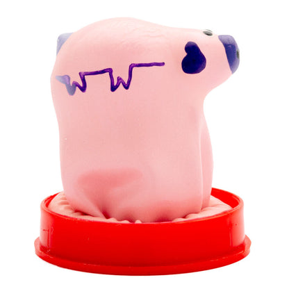 Preservativo Decorativo com Desenho de Porquinho
