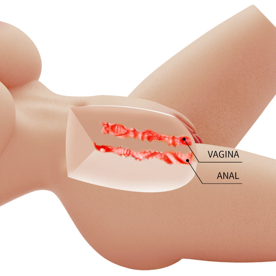 Torso Realista Feminino Lily com Vagina e Ânus - 4kg