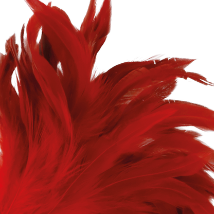 Close-up of the Darkness Estimulador de Penas Vermelho 24cm, highlighting its soft feathers and ergonomic handle.