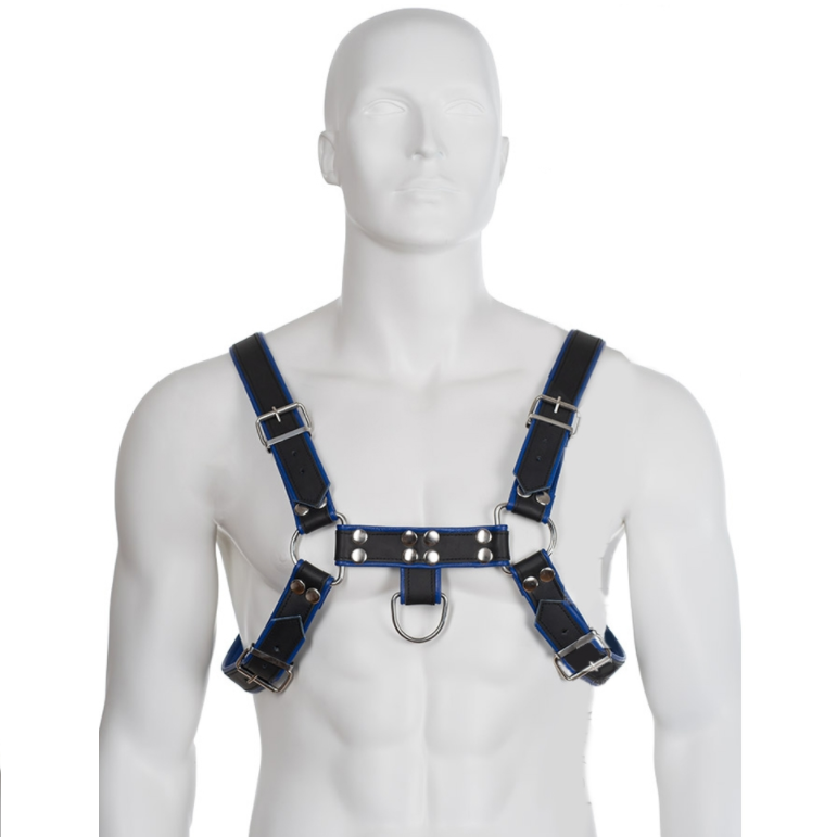Arnês de Couro Azul e Preto Peito Bulldog