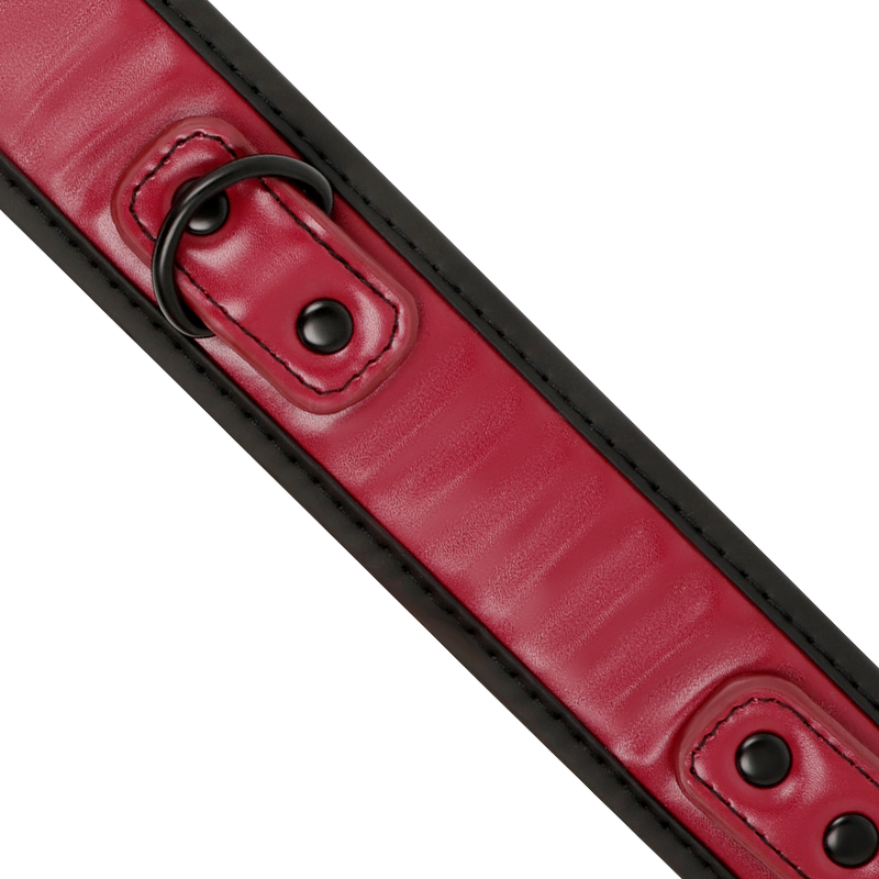 Close-up da Coleira de Corrente Fetish Submissive com forro de neoprene e detalhes em metal.